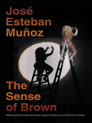 cover image of The Sense of Brown